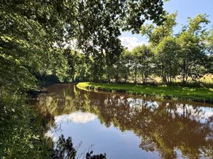 Photo 6- click for photo gallery